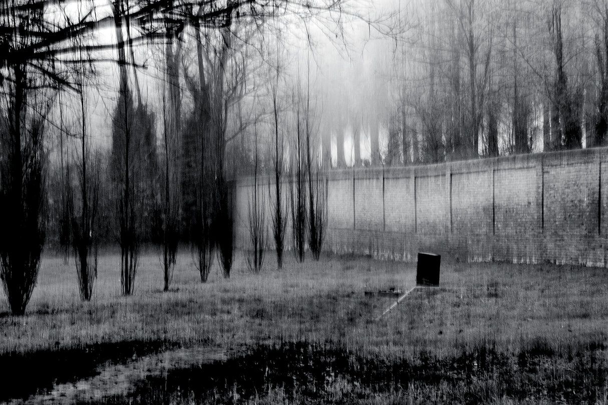 The solitary grave Poster och Canvastavla