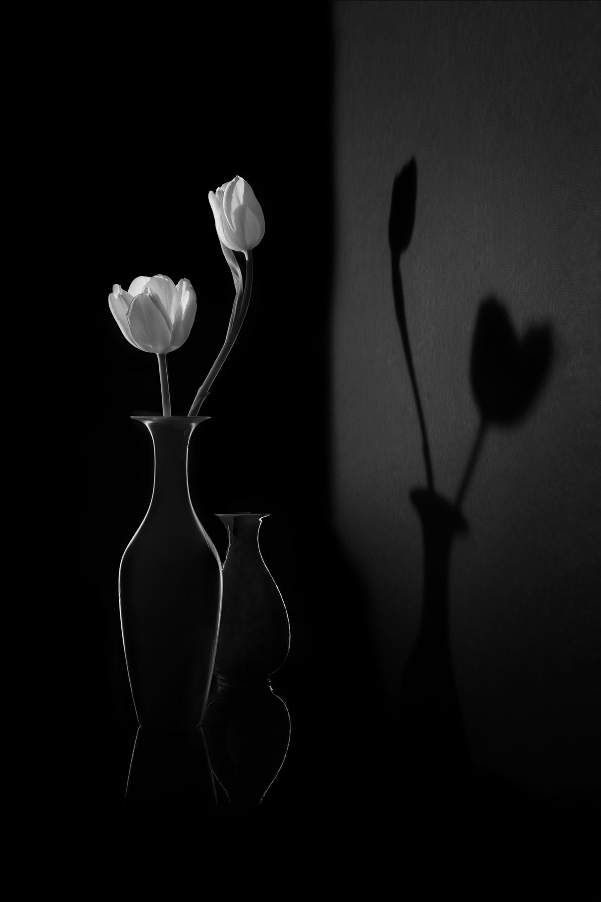 The Shadow of Spring Poster och Canvastavla