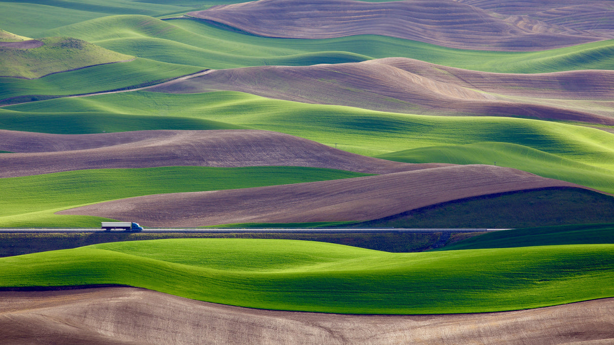 Driving in the wheat field at Palouse Poster och Canvastavla