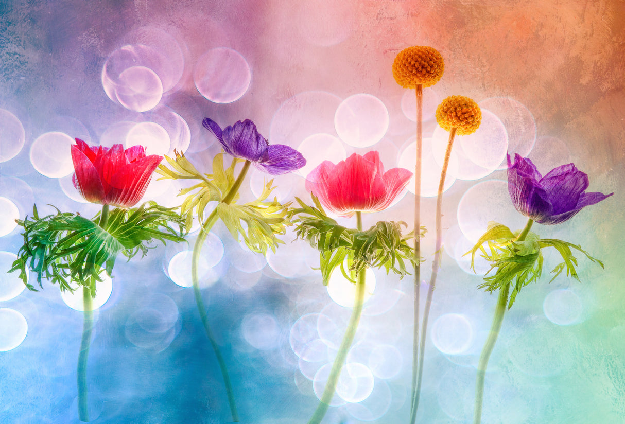 Playful flowers Poster och Canvastavla