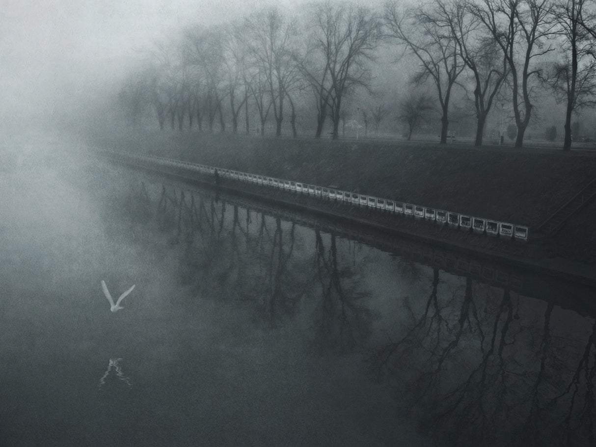 days of mist Poster och Canvastavla