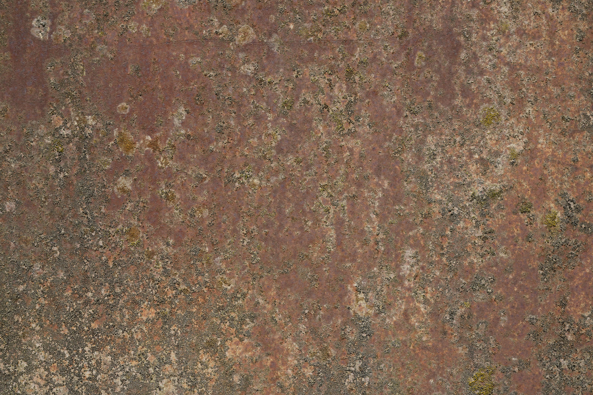 Rust 35 Poster och Canvastavla