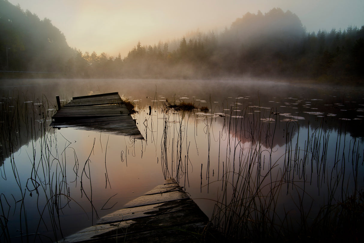 In the misty morning Poster och Canvastavla