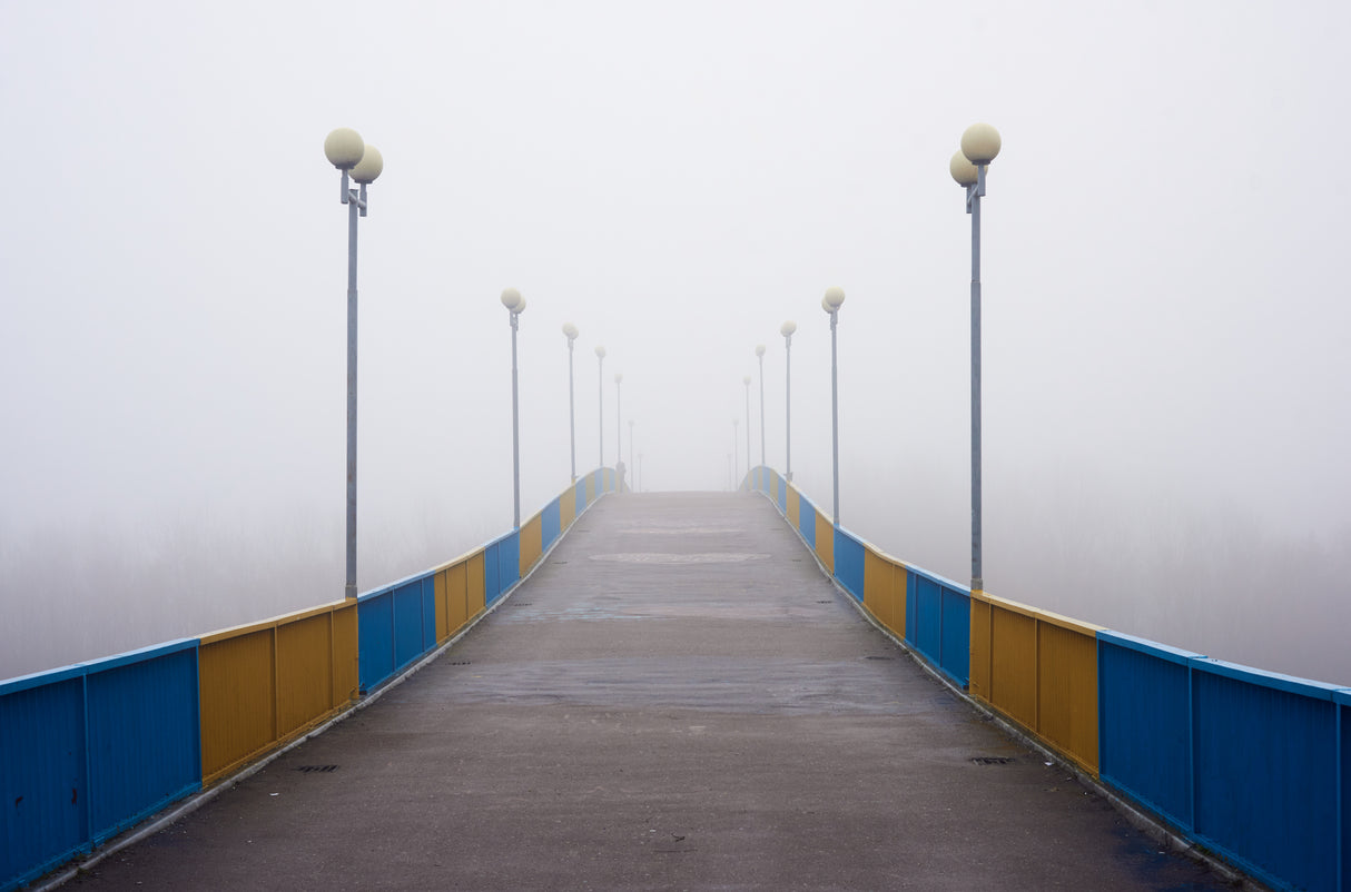Foggy morning Poster och Canvastavla