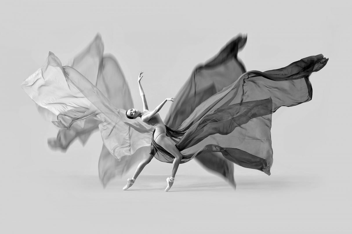 Balerina Butterfly Dance Poster och Canvastavla