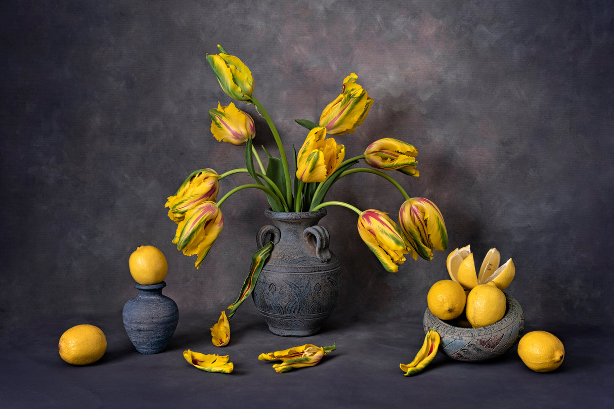 Yellow and Red Tulips Poster och Canvastavla