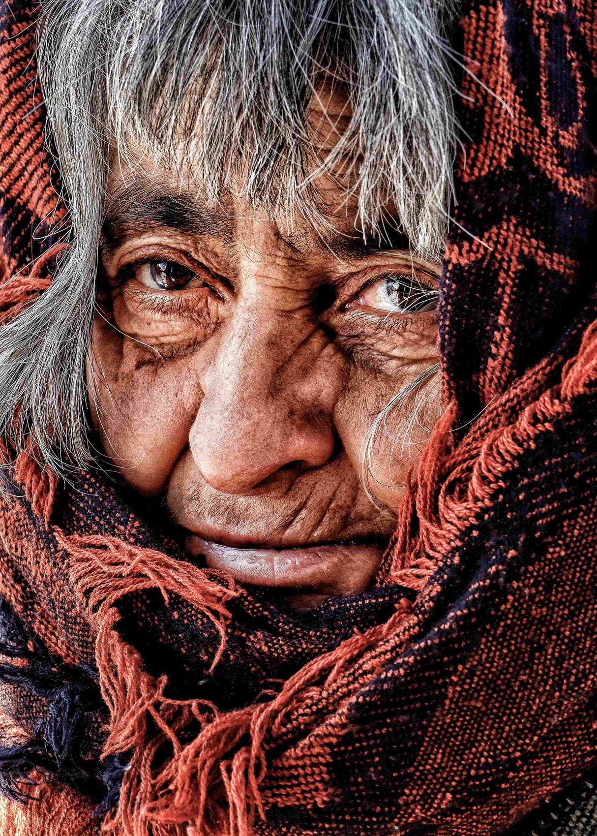 Portrait Poster och Canvastavla