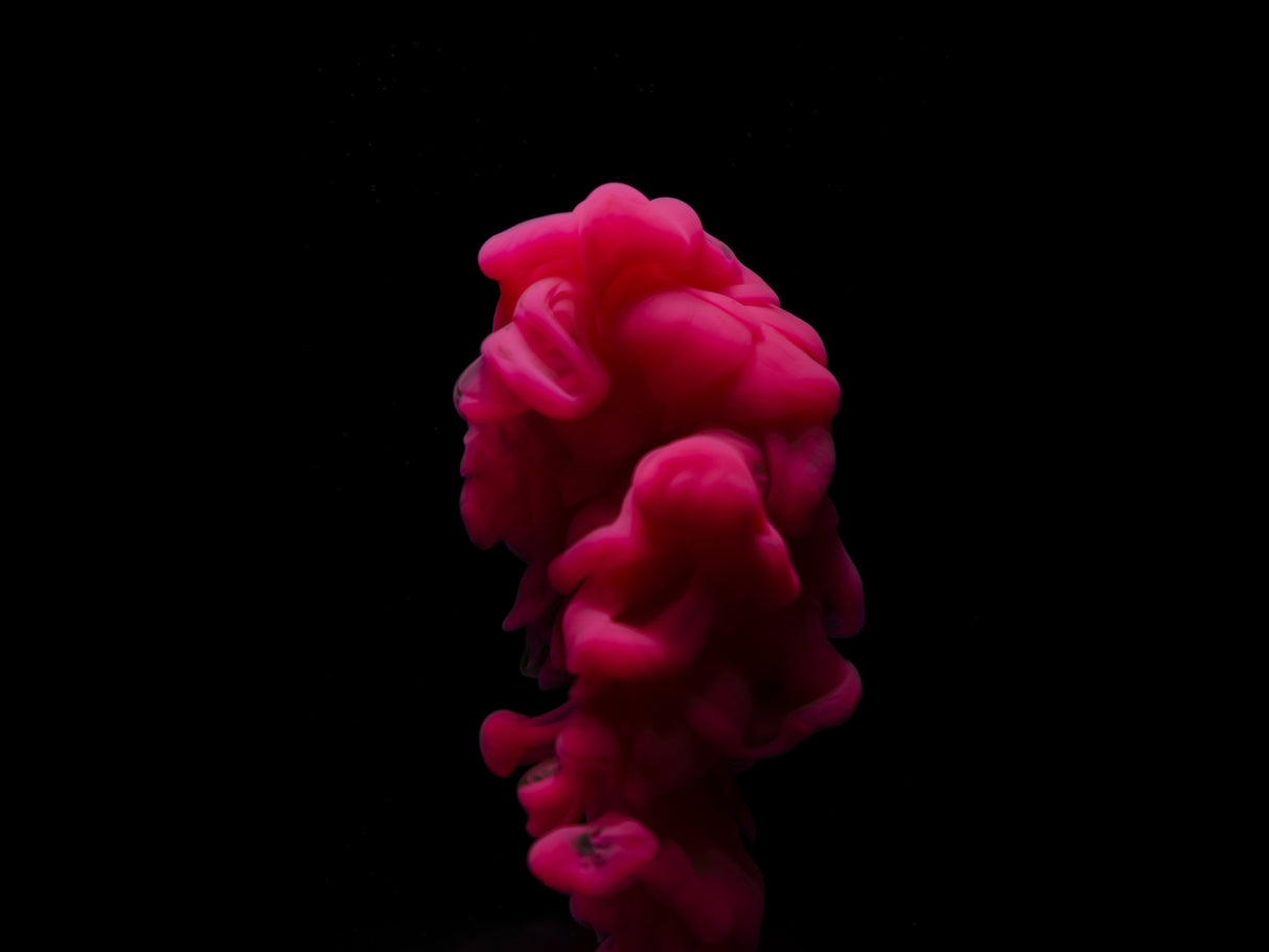 Abstract color paint splash Poster och Canvastavla