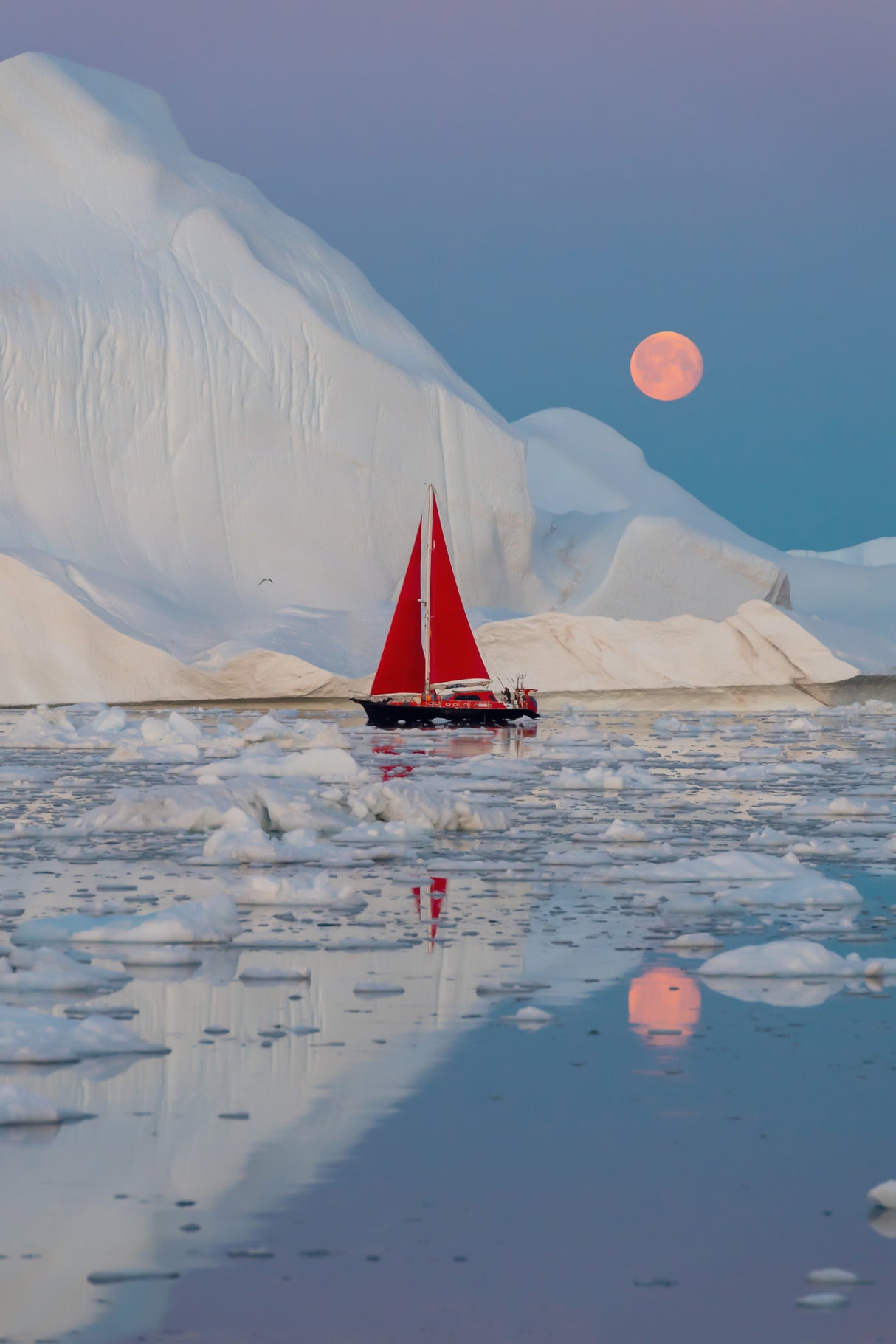 Greenland night Poster och Canvastavla