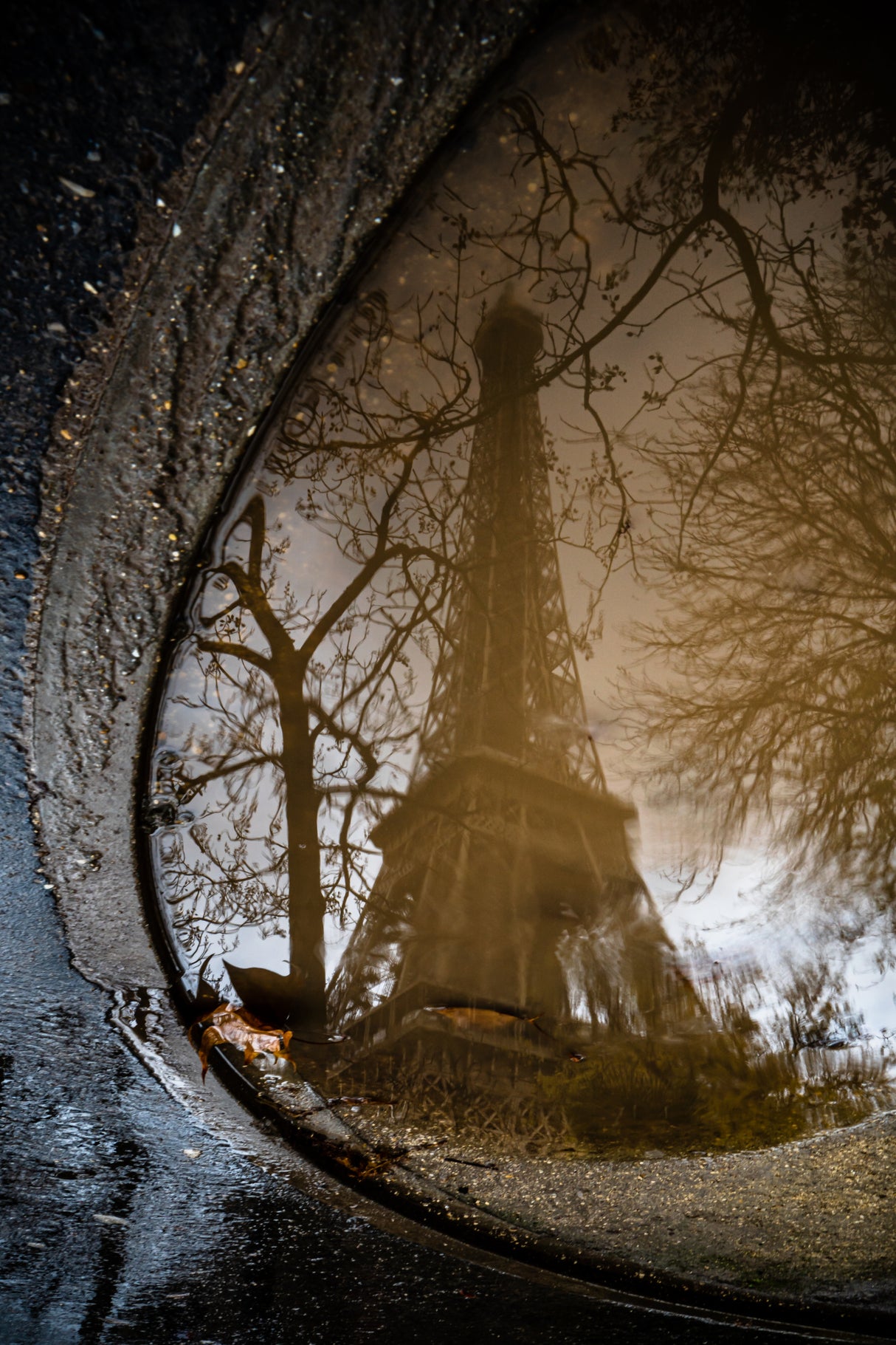 Eiffel tower reflection Poster och Canvastavla