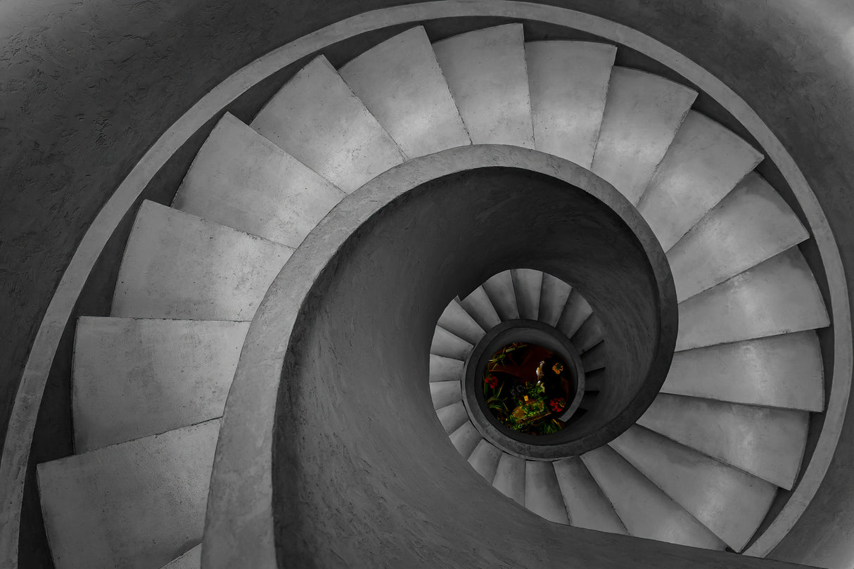 Flowers in the Vortex Poster och Canvastavla