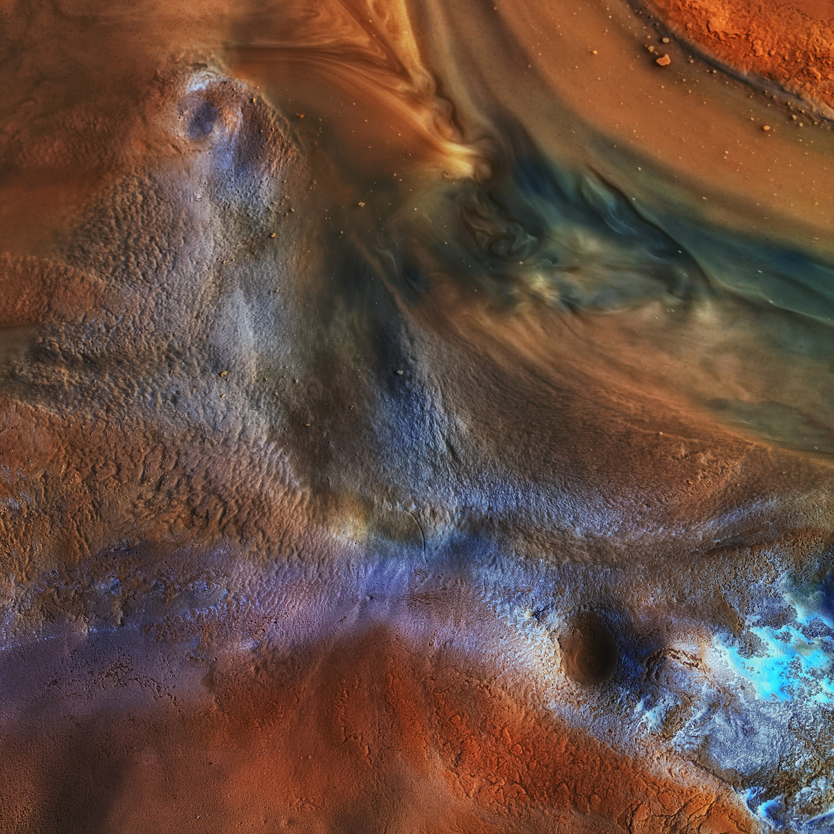 In the puddle Poster och Canvastavla