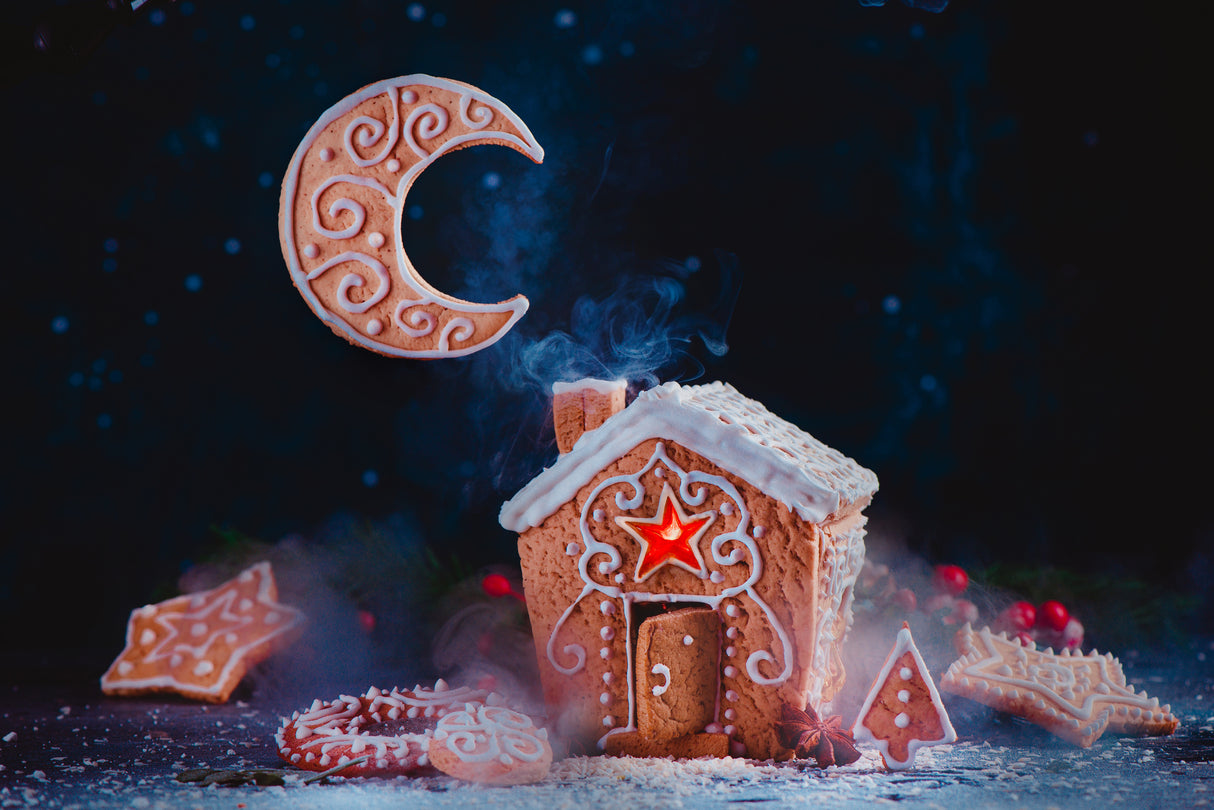Winter Moon Poster och Canvastavla