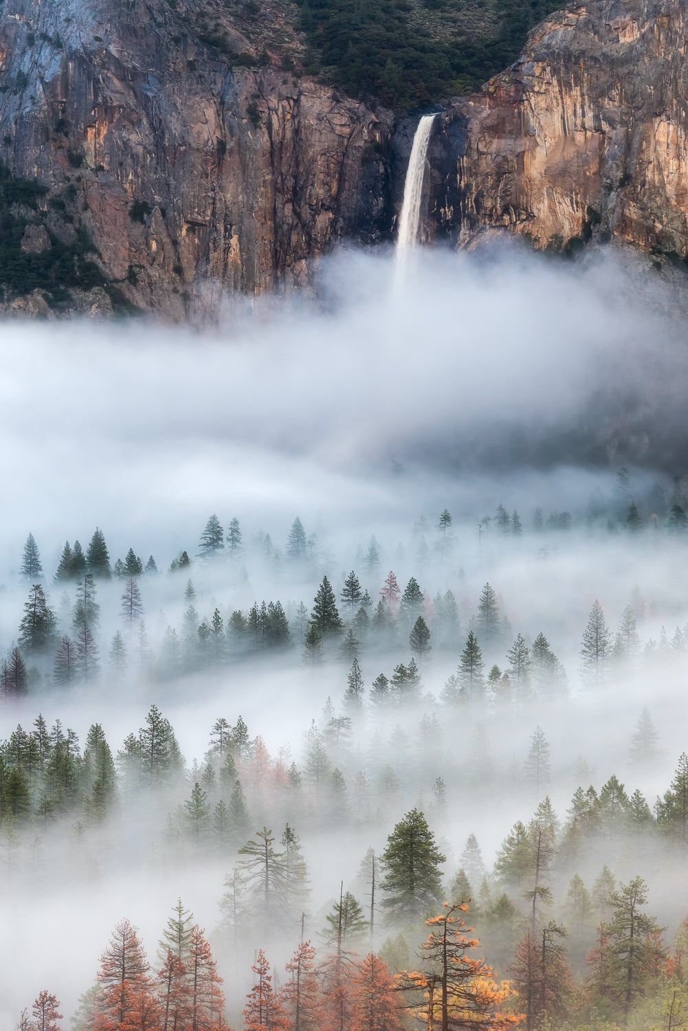 Mist Falls Poster och Canvastavla