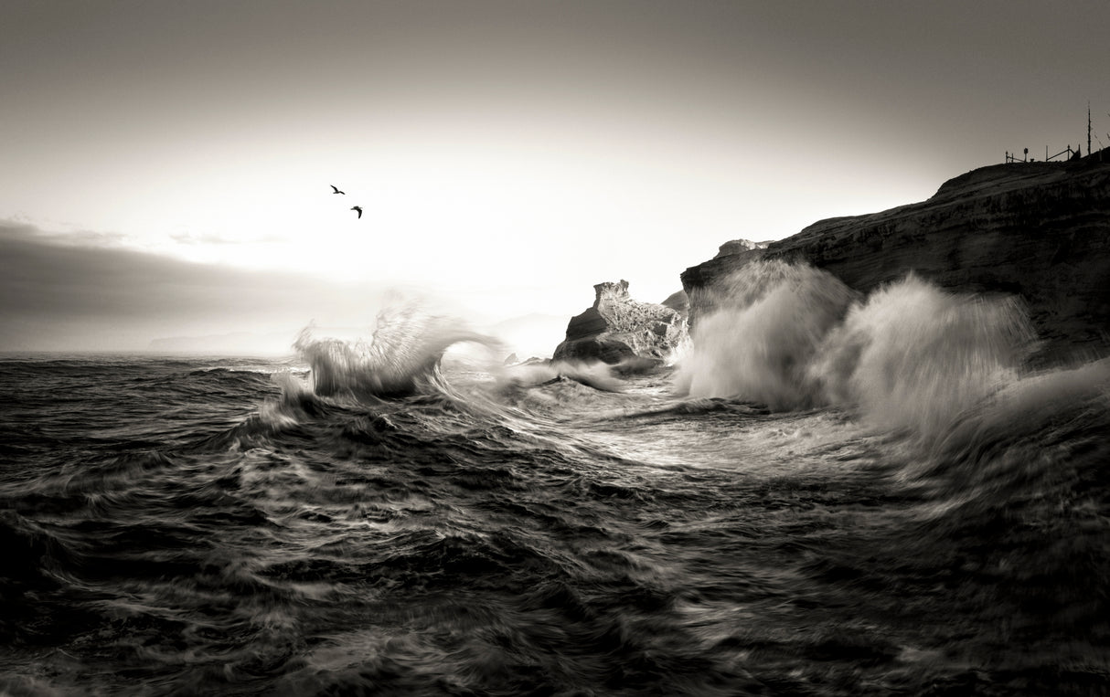 Waves Poster och Canvastavla