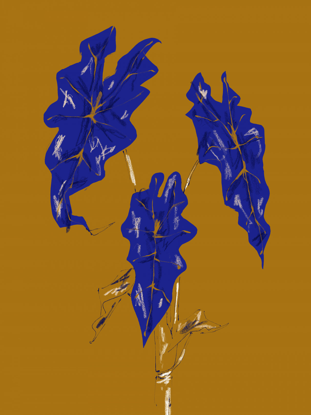 Alocasia Polly Mustard Poster och Canvastavla