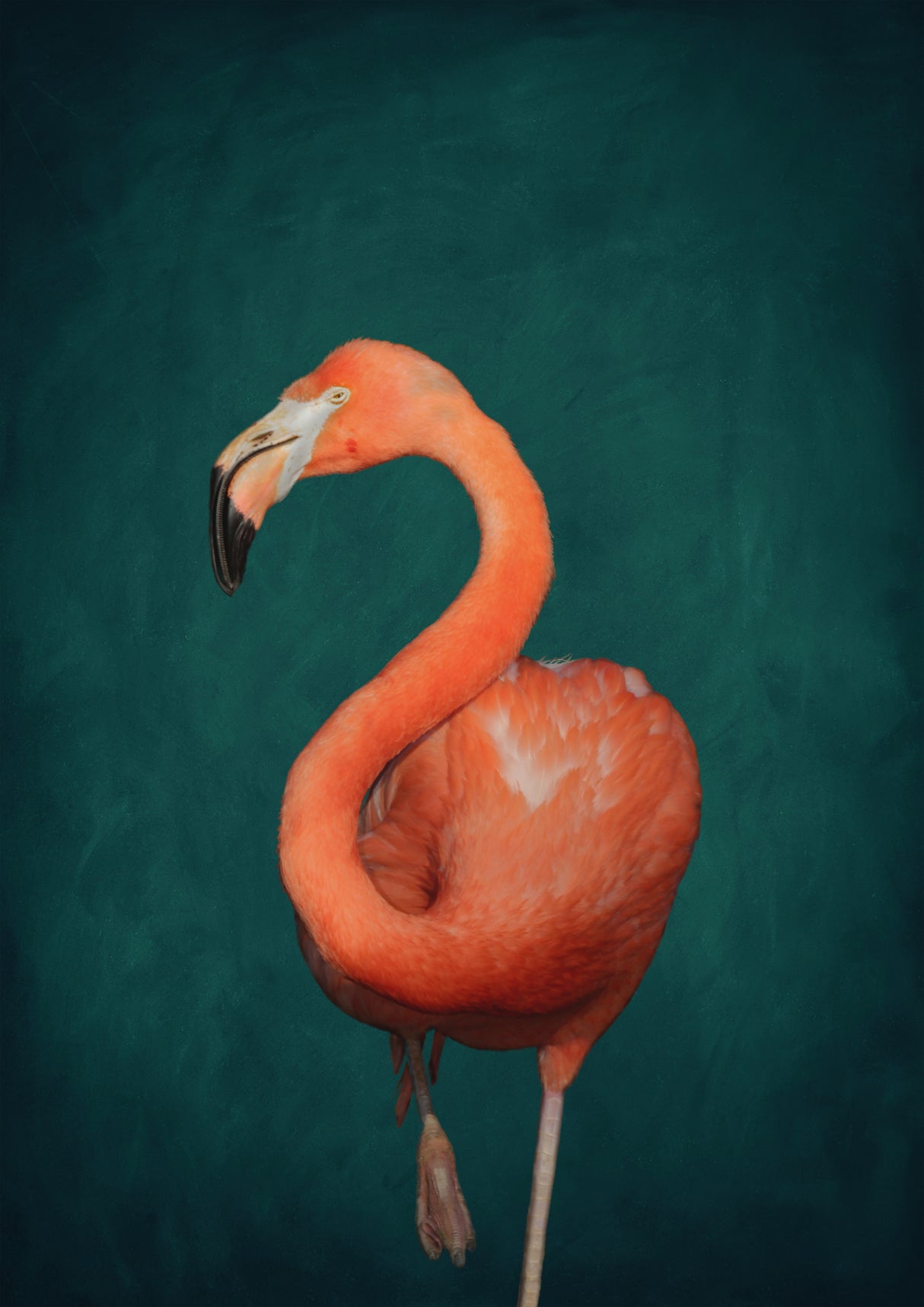 Green Flamingo Poster och Canvastavla