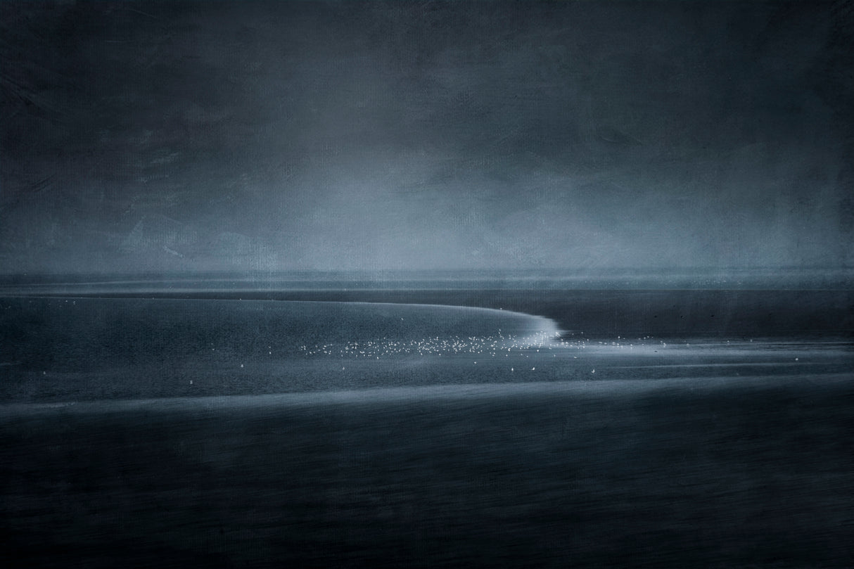 Silence Poster och Canvastavla