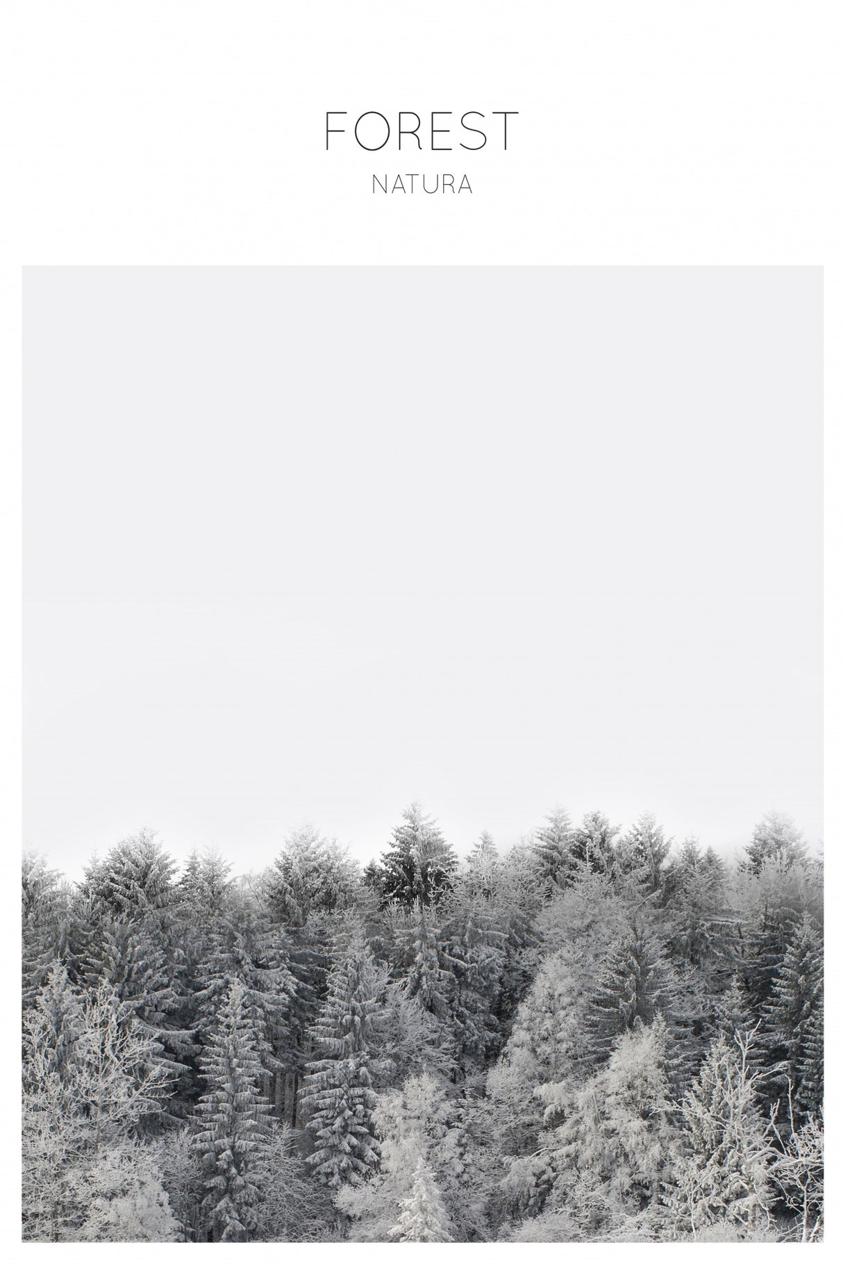 Forest Photography Poster och Canvastavla