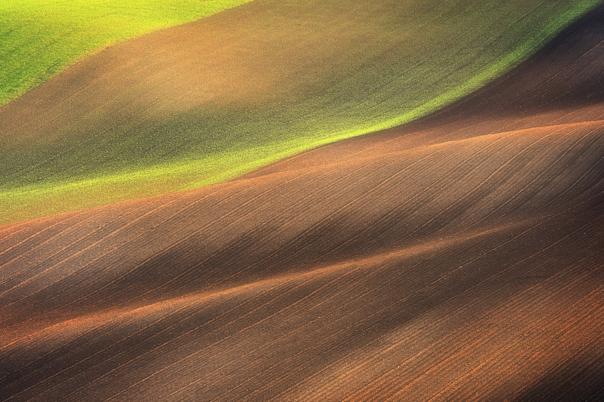 Moravian Tuscany Waves #3 Poster och Canvastavla