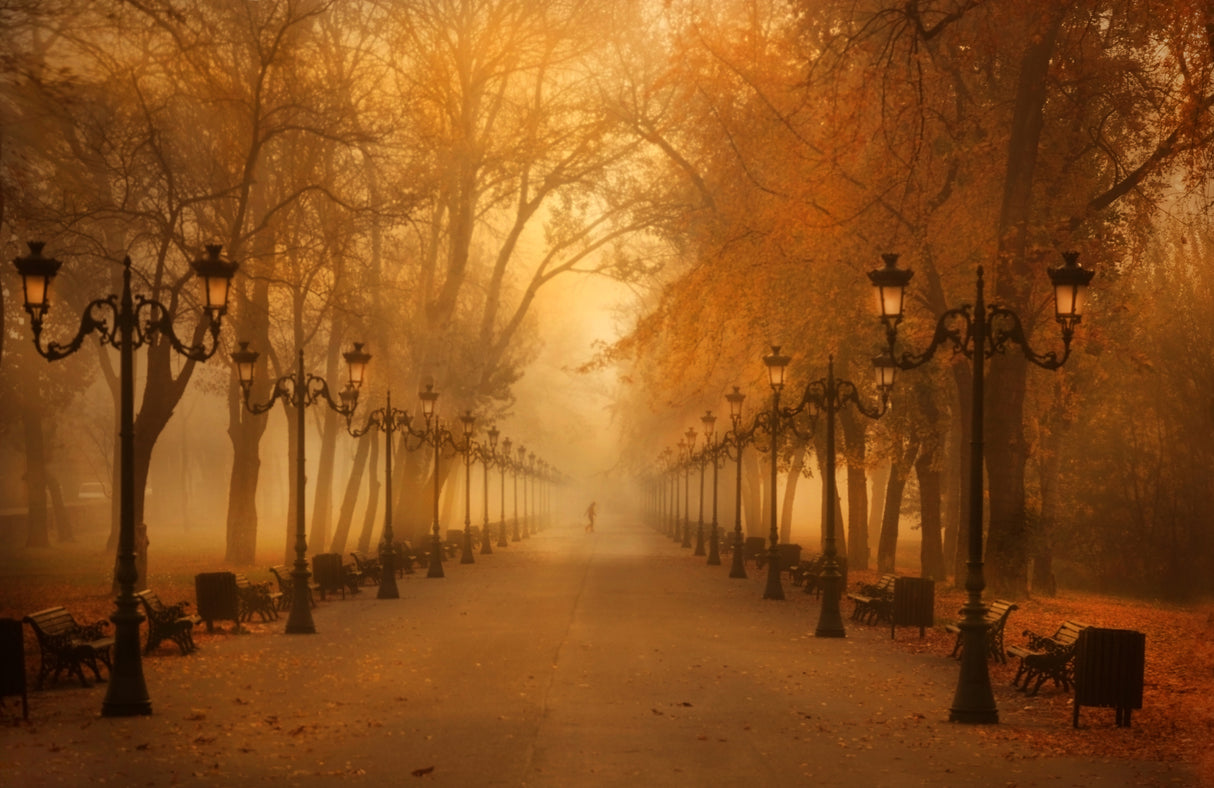 November morning Poster och Canvastavla