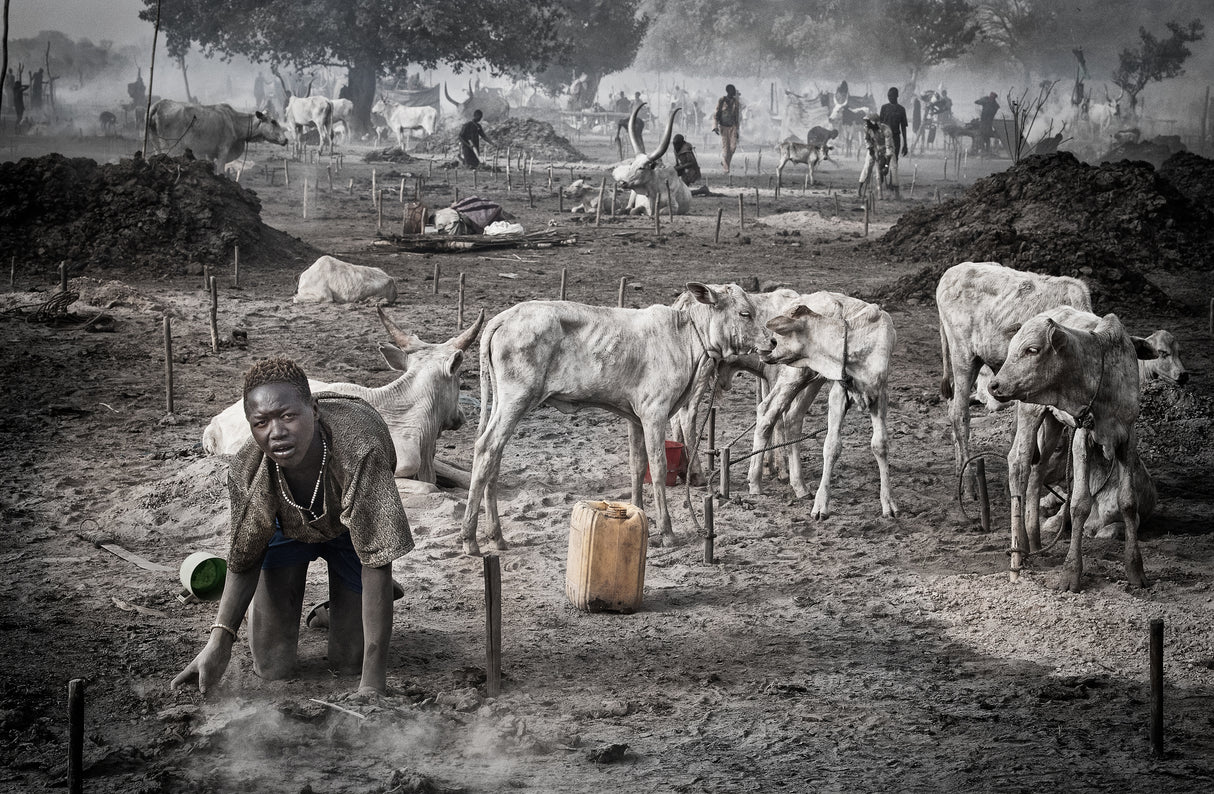 Life in a mundari camp - South Sudan Poster och Canvastavla