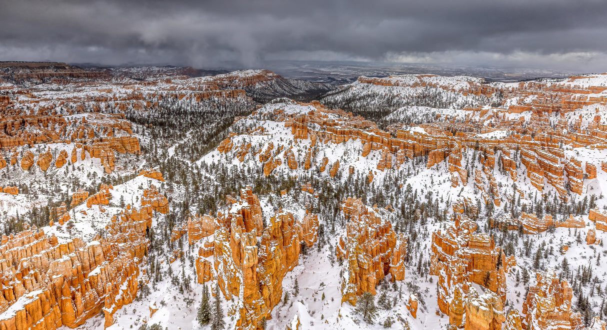 Bryce Canyon in Winter Poster och Canvastavla