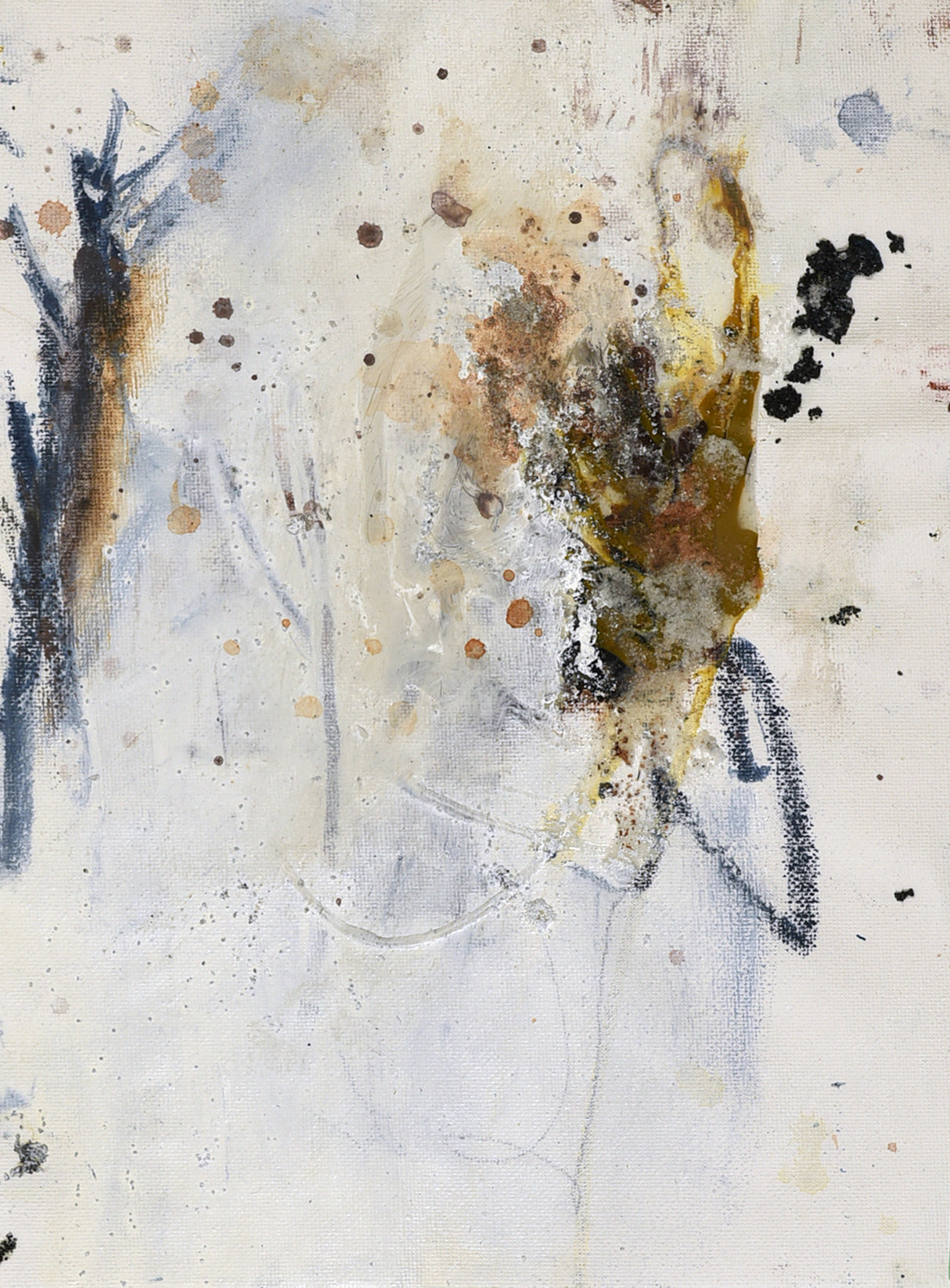 Brandywine Falls Poster och Canvastavla