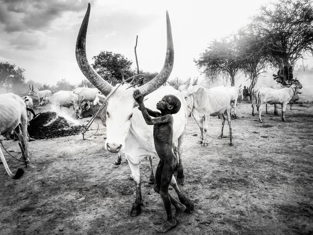 Boy of Mundari, South Sudan Poster och Canvastavla