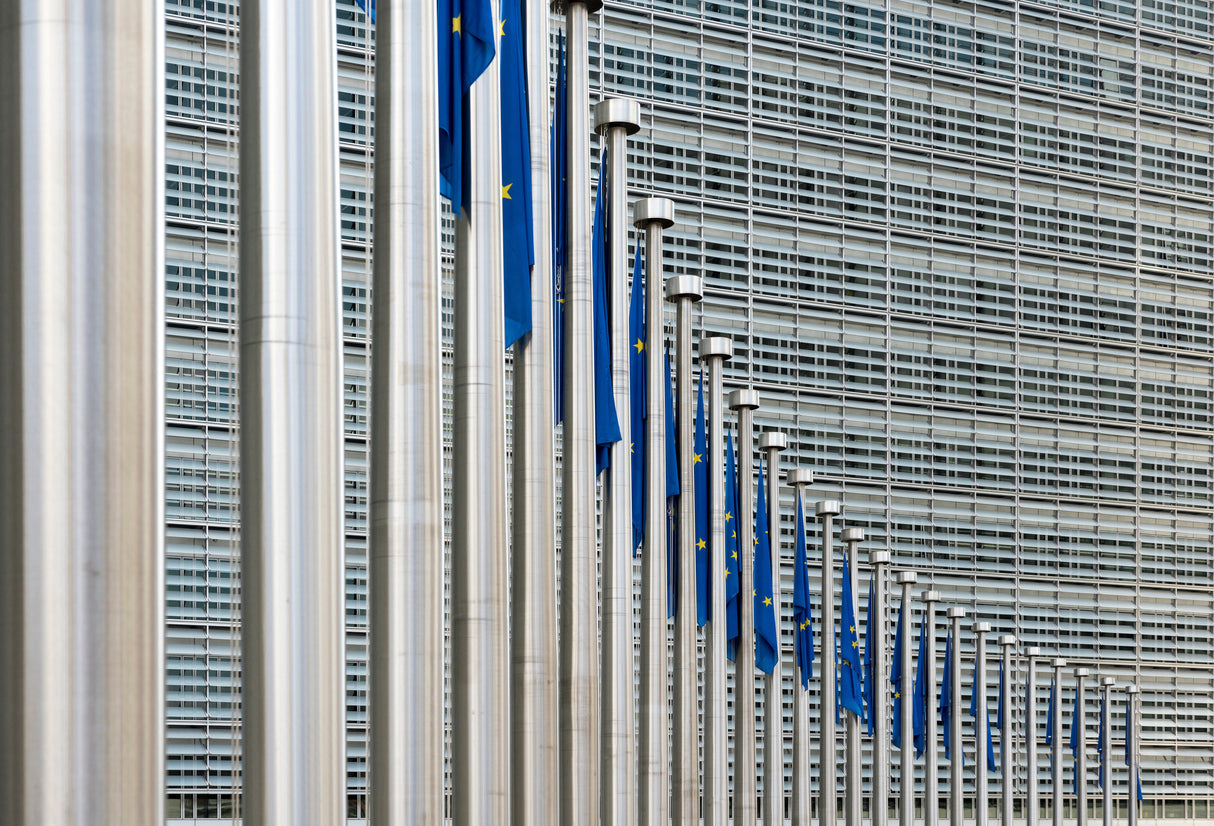 Flag parade Poster och Canvastavla