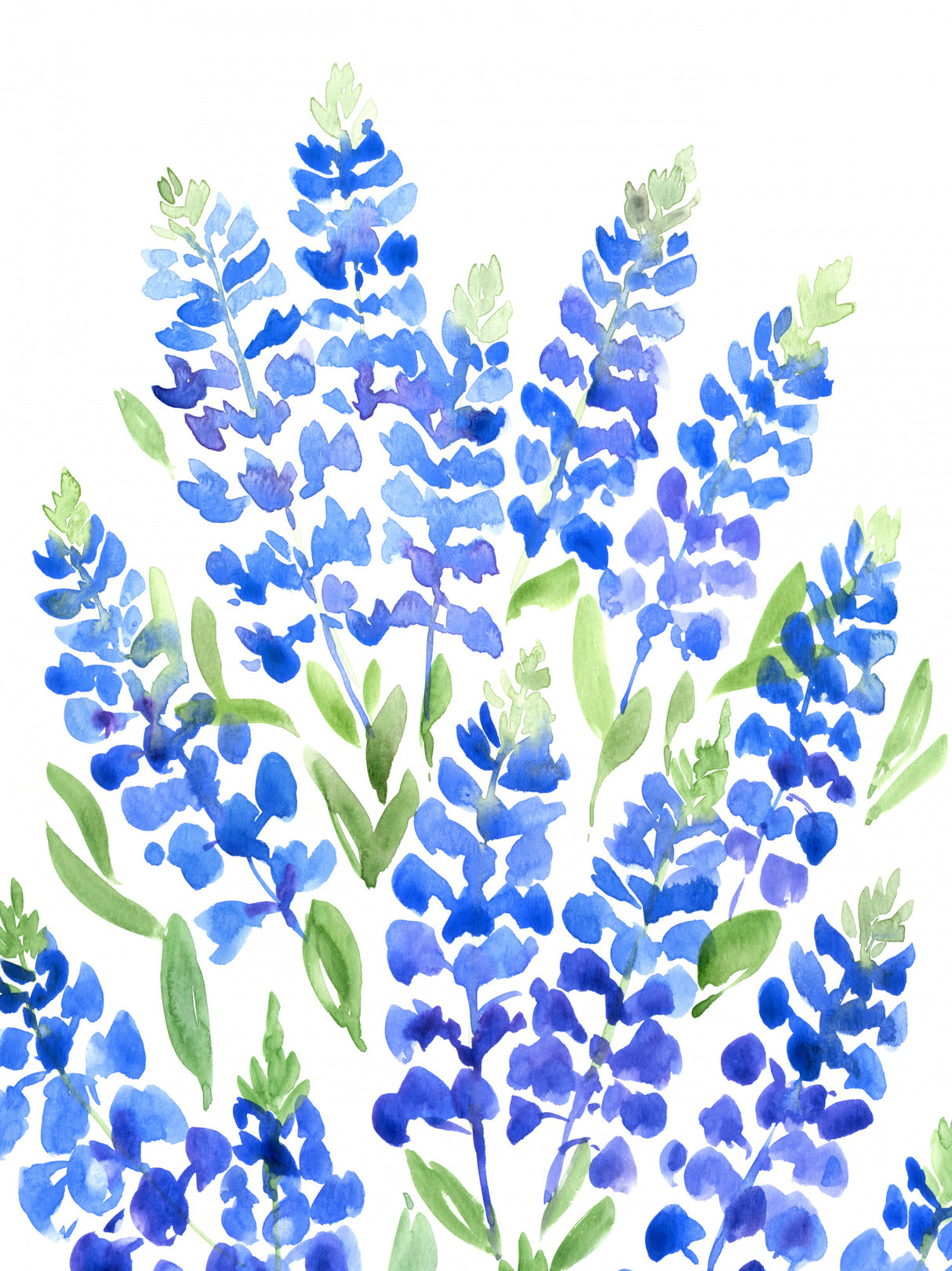 Watercolor Texas bluebonnets Poster och Canvastavla