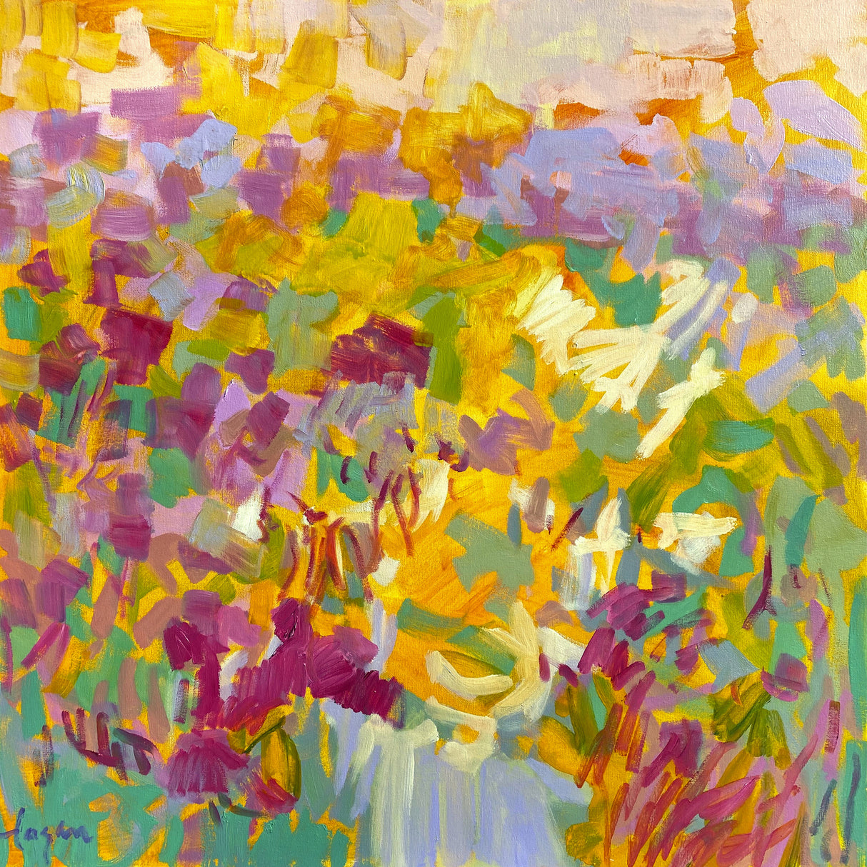 Df002sundance I Poster och Canvastavla