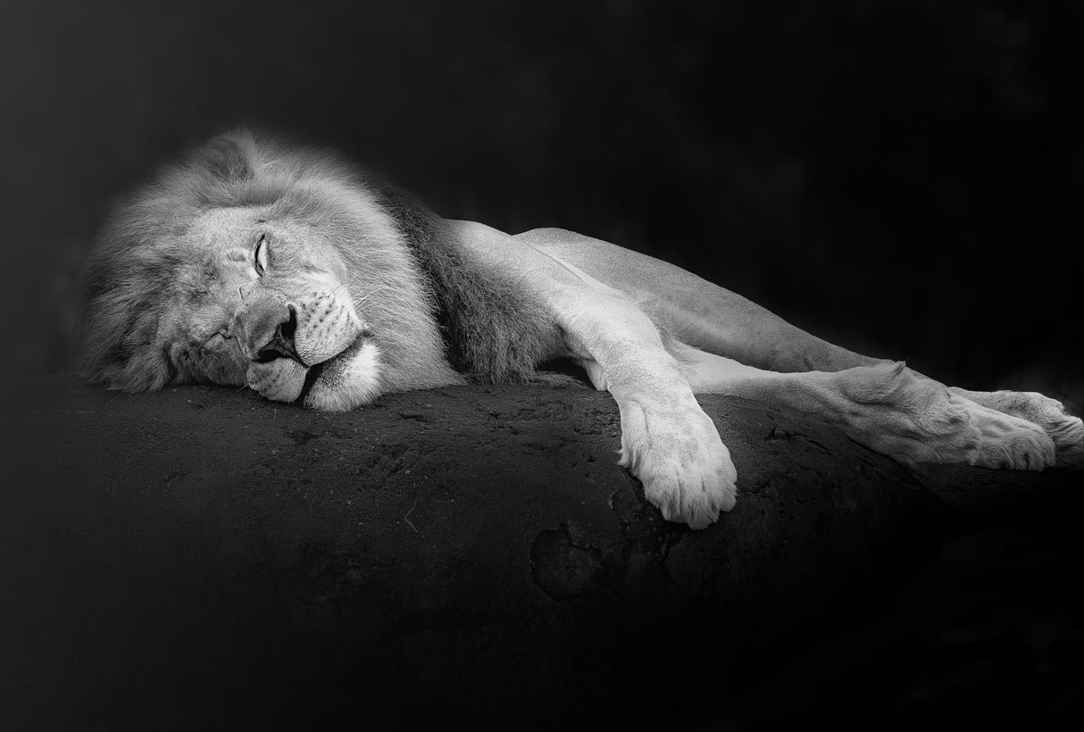 Need A Hug Poster och Canvastavla