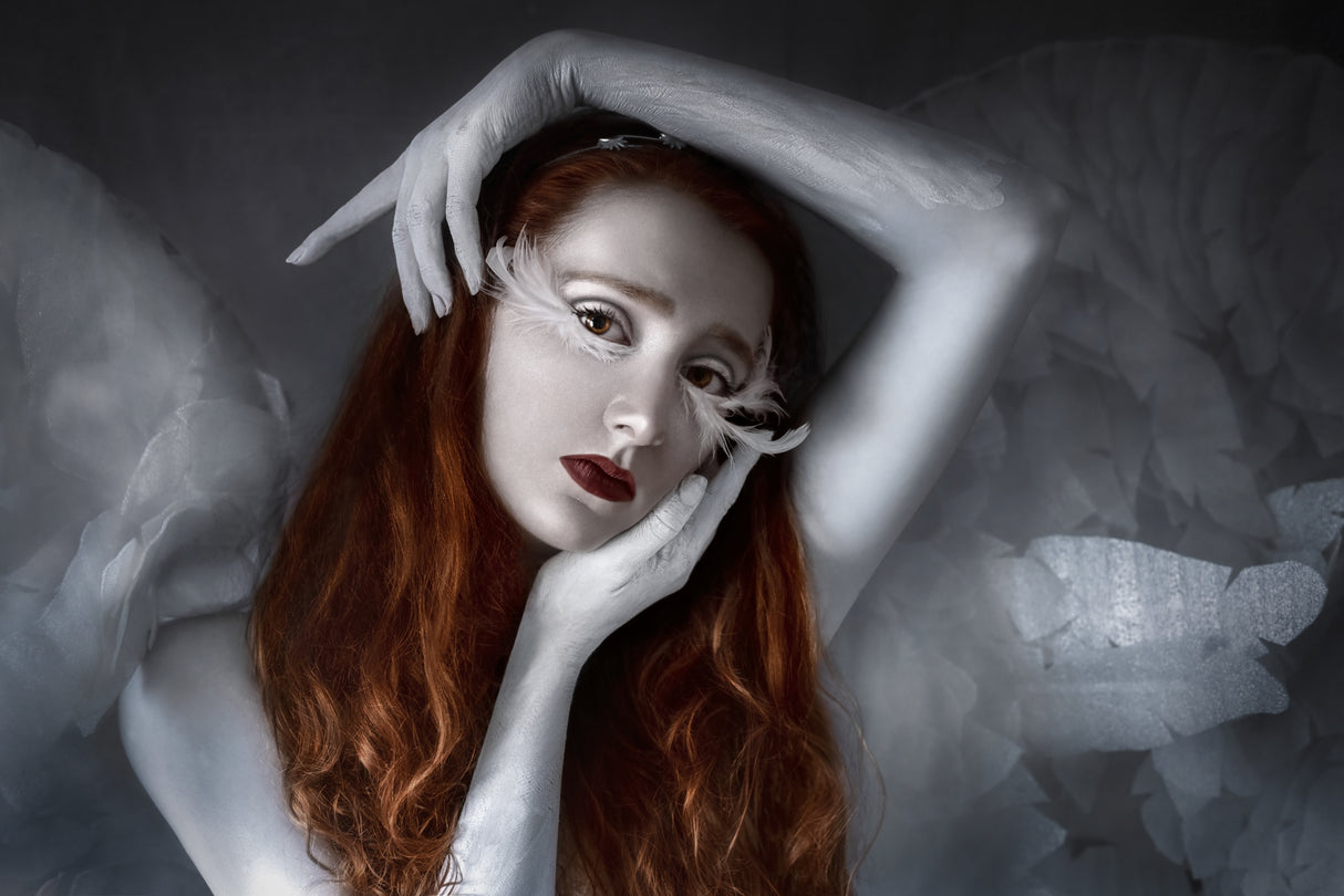 White bird Poster och Canvastavla