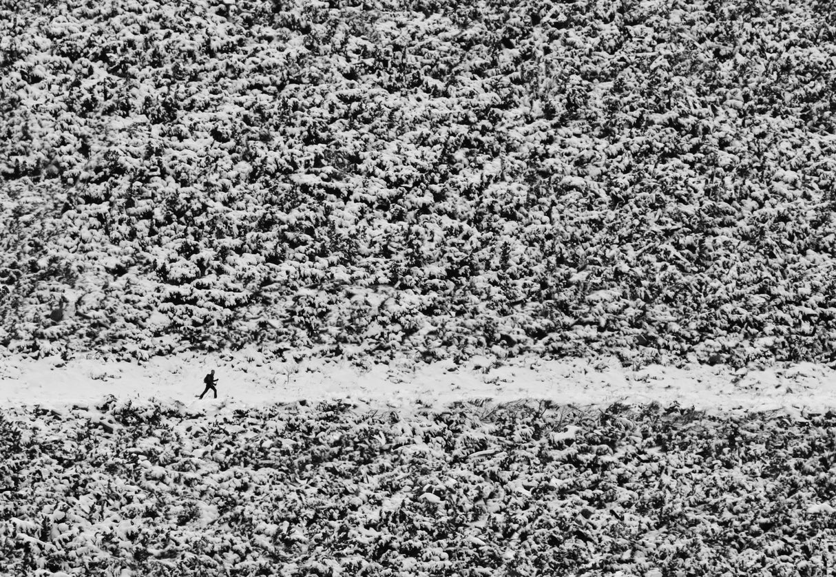 walking through confusion Poster och Canvastavla