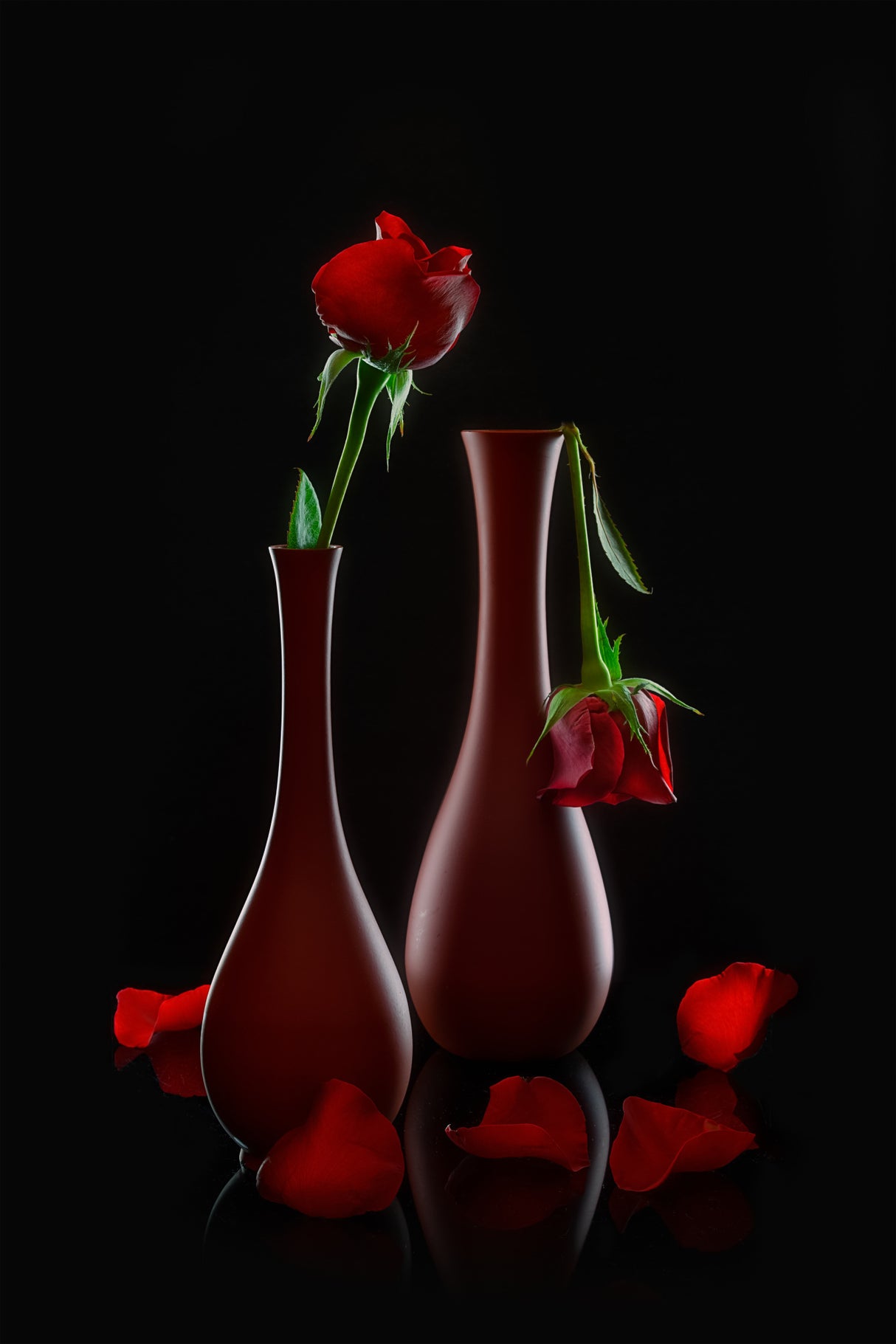 Valentine's Roses Poster och Canvastavla