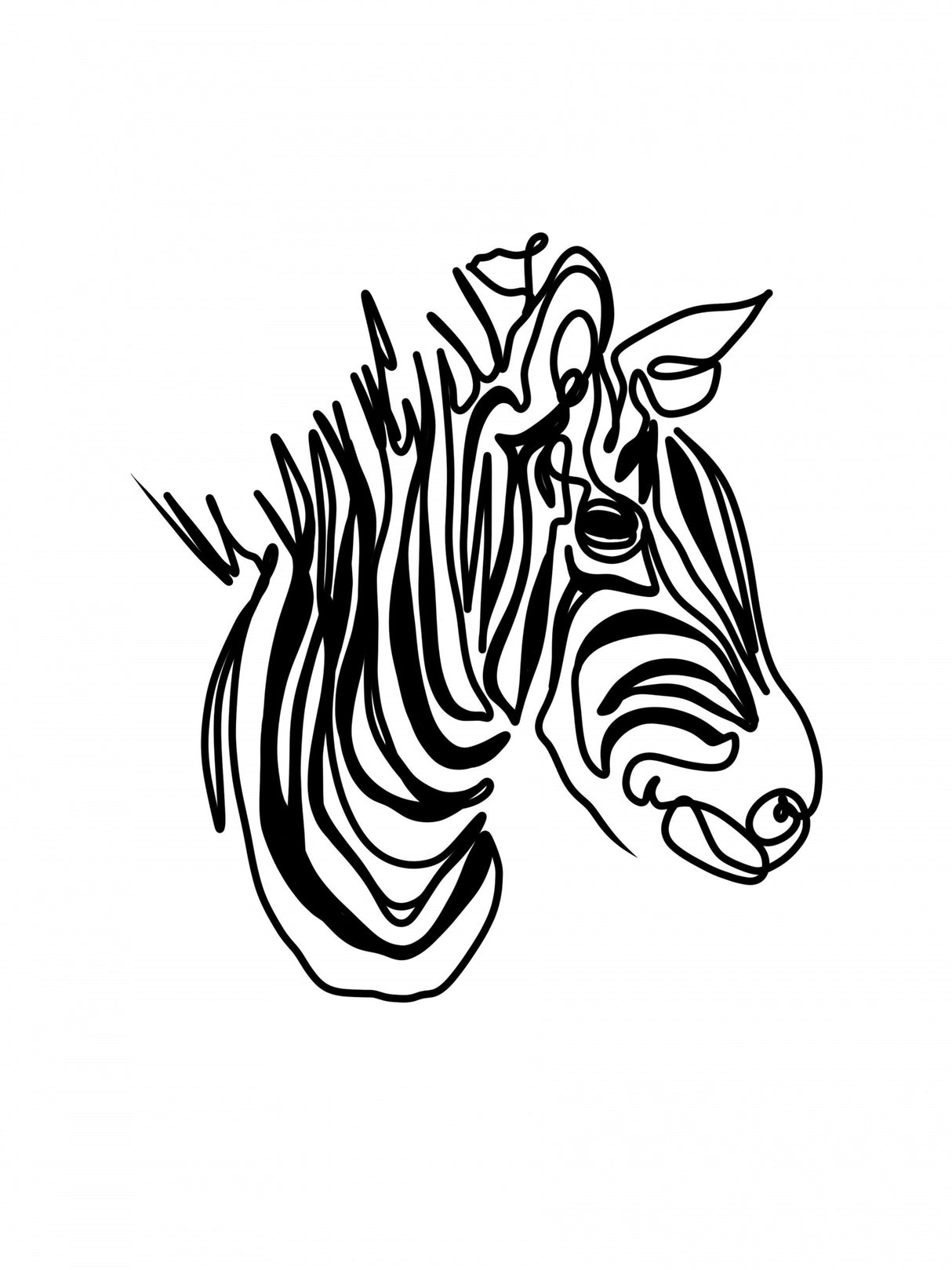 The Zebra Poster och Canvastavla