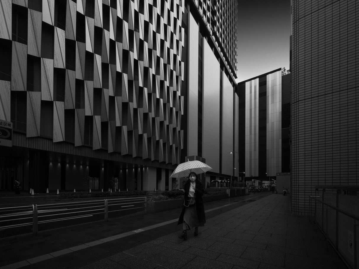 Rainy tone Poster och Canvastavla