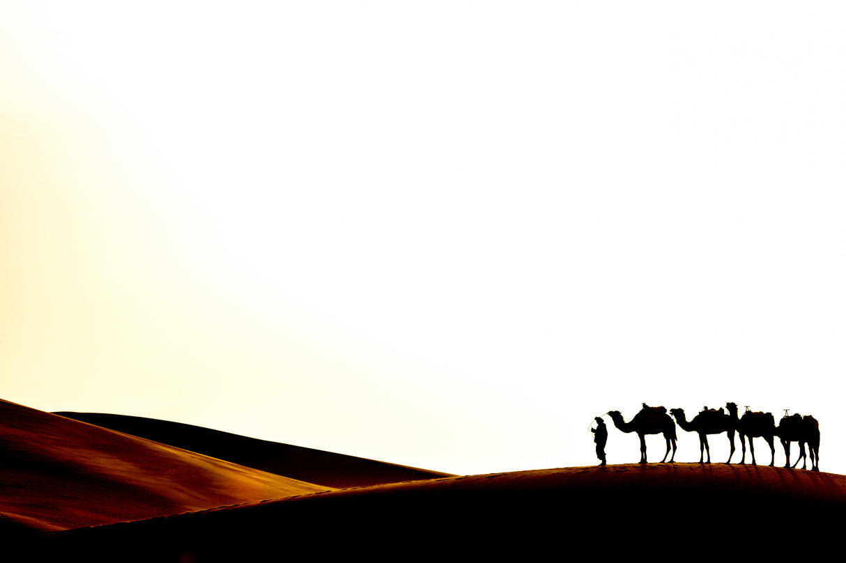 Sahara desert Poster och Canvastavla