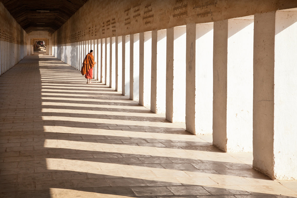 Looking Back Poster och Canvastavla