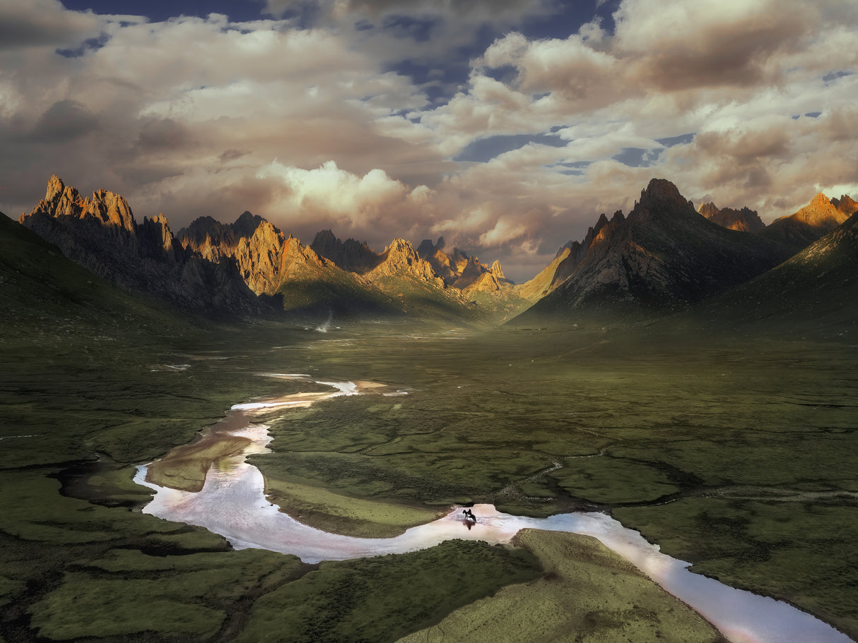 The Way Home Poster och Canvastavla
