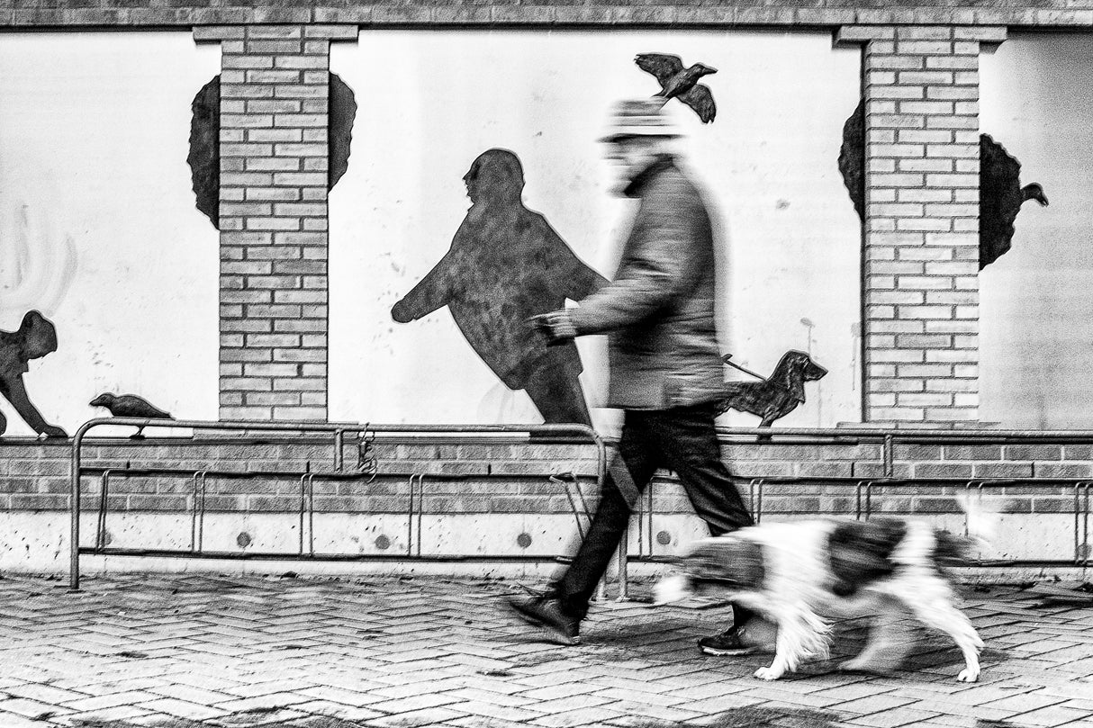 Dog walkers Poster och Canvastavla