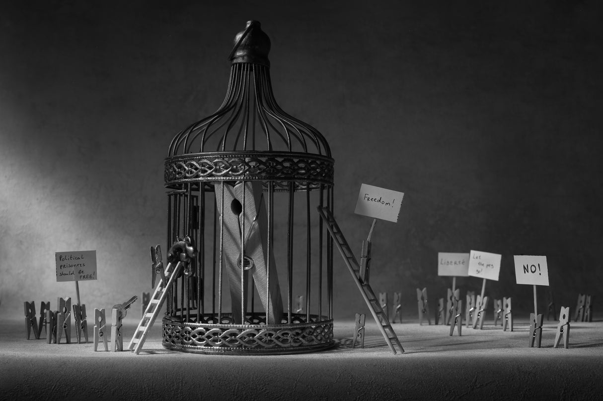 Political prisoners should be free Poster och Canvastavla