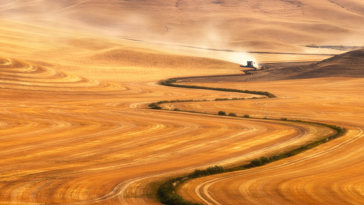 Harvest Time Poster och Canvastavla