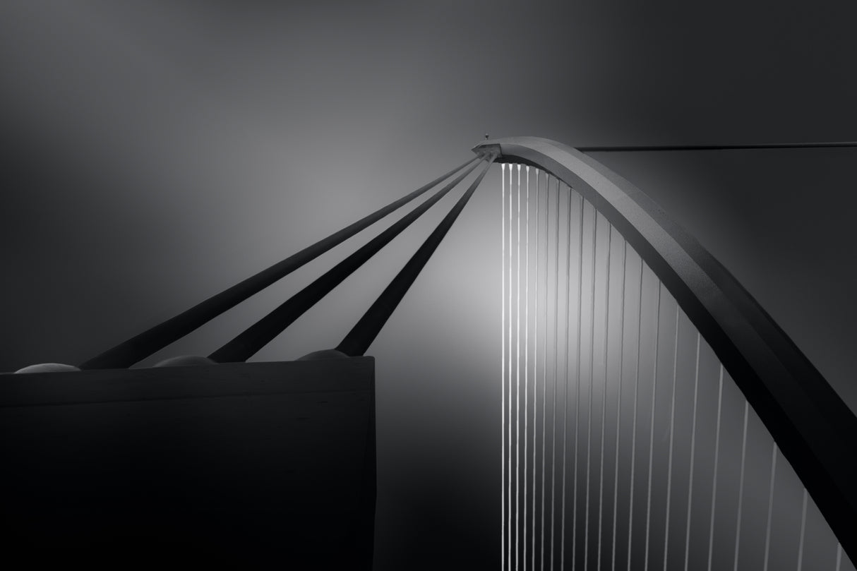 The bridge Poster och Canvastavla