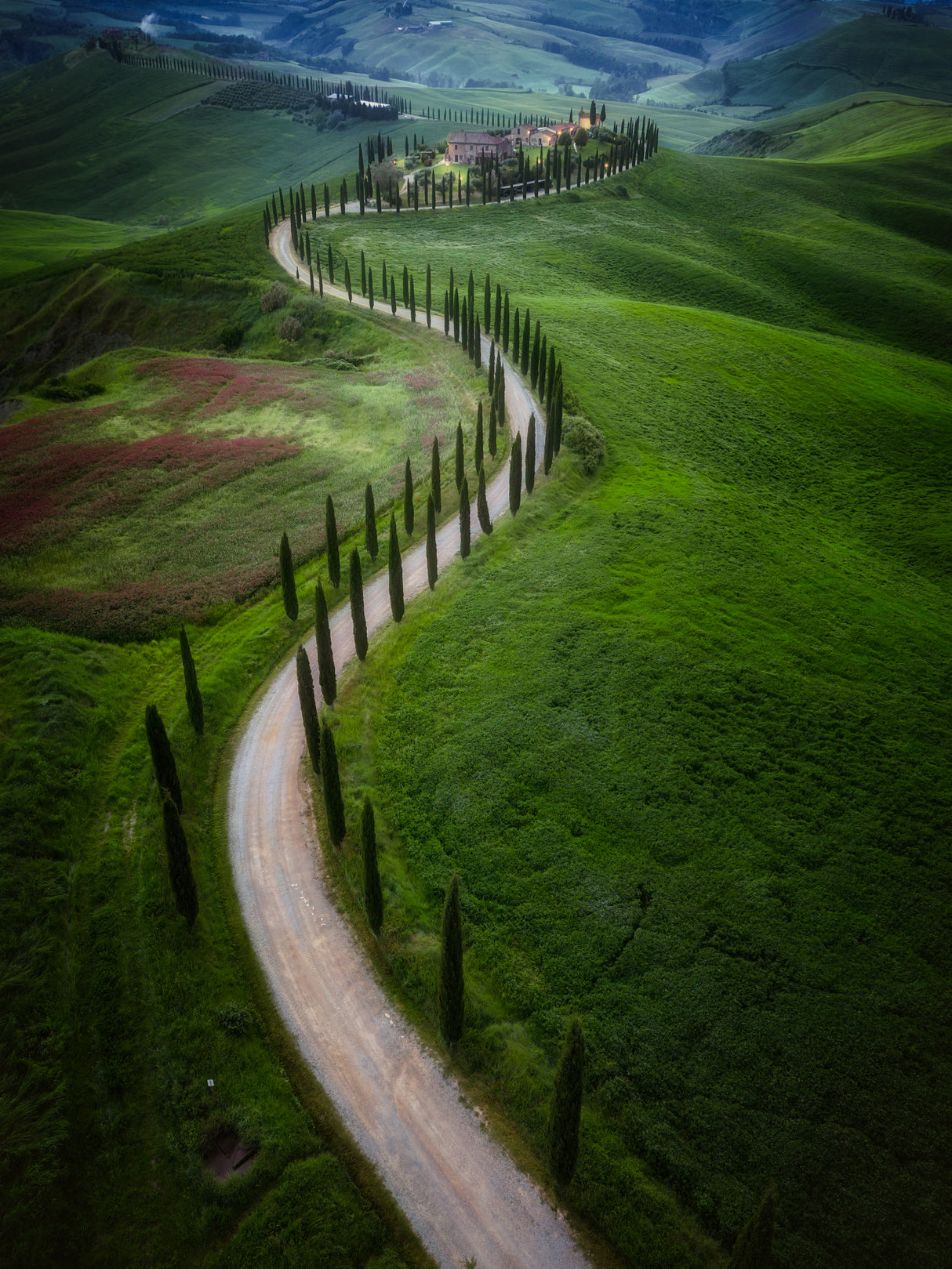 Orcia Valley I Poster och Canvastavla