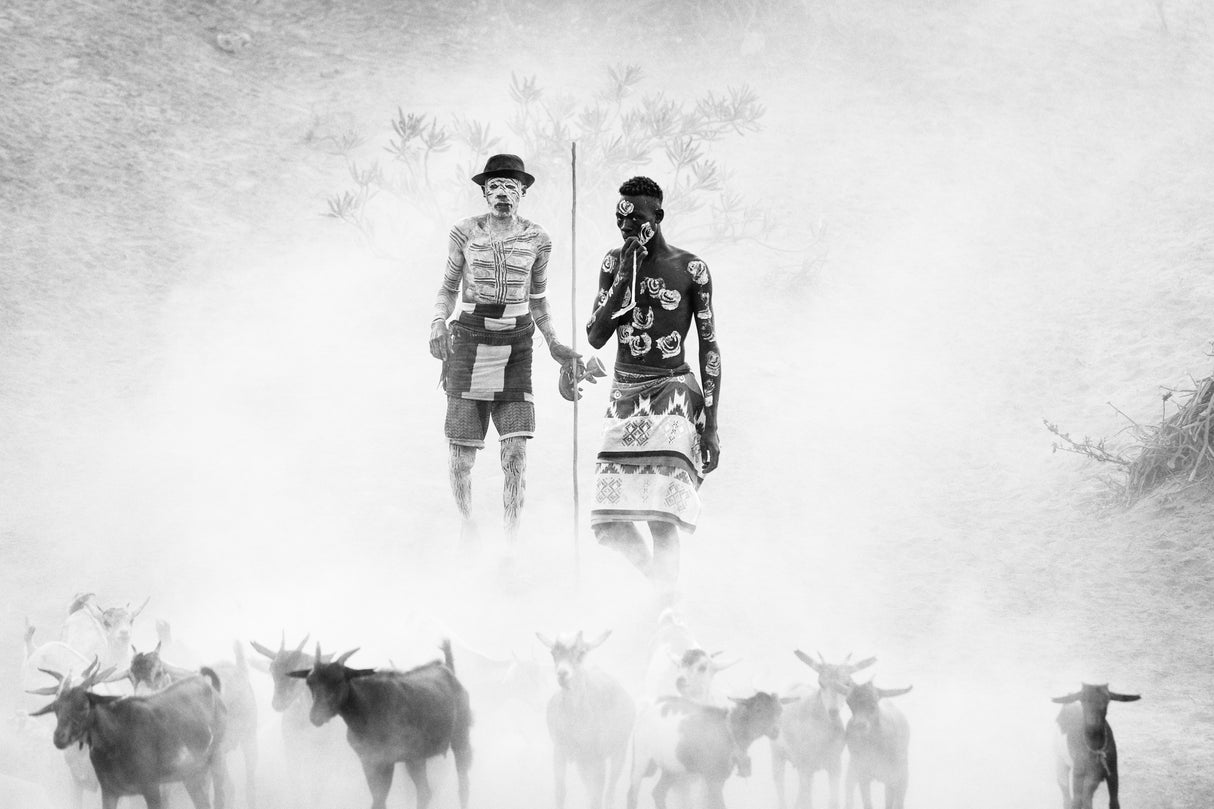 Goat Herding Poster och Canvastavla