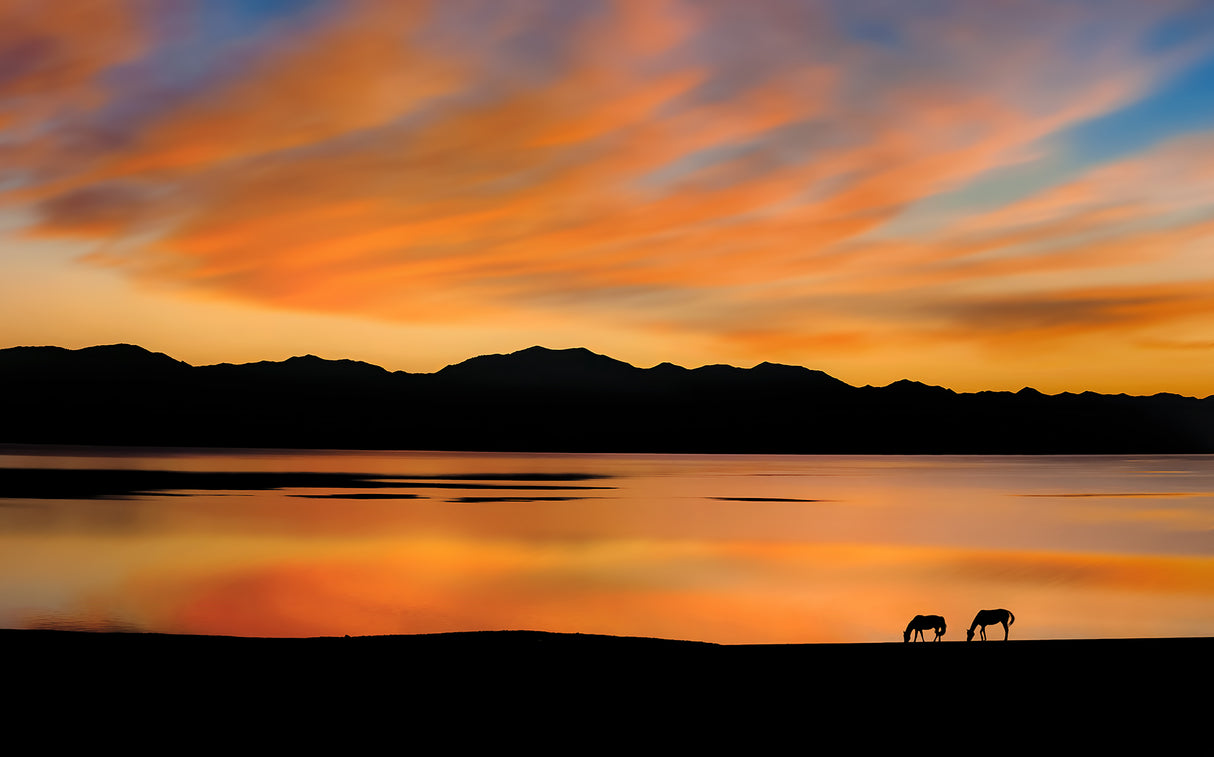 Sayram Dawn Poster och Canvastavla