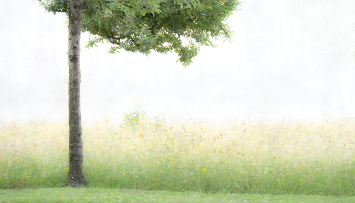 Summer joy Poster och Canvastavla