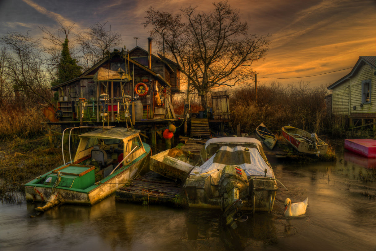 Finn Slough Heritage & Wetland Society Poster och Canvastavla